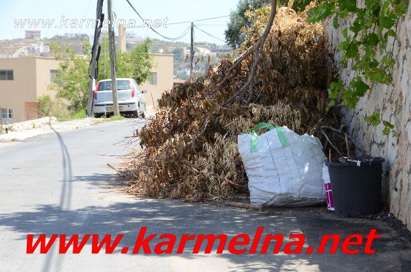 اكوام الزبالة تخطف الانظار في شوارع الدالية !!!