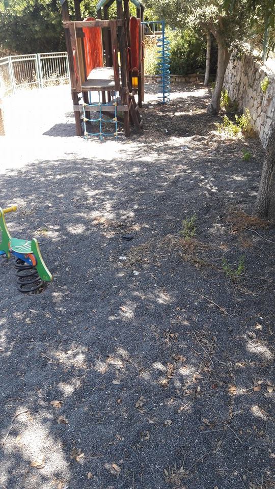دالية الكرمل : الزبالة والاعشاب تملأ الحديقة العامة في דליה צעירה 