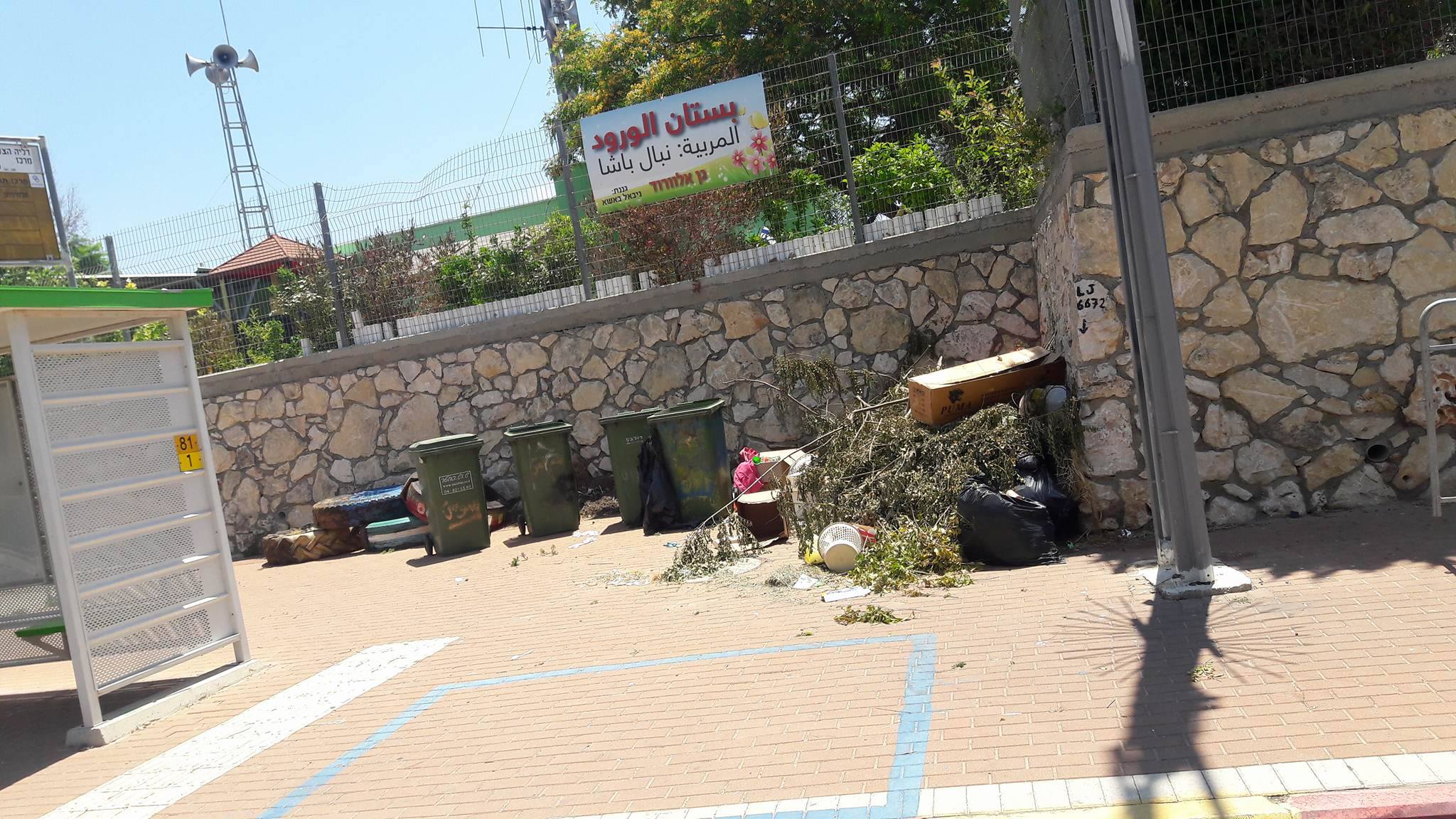 دالية الكرمل : الزبالة والاعشاب تملأ الحديقة العامة في דליה צעירה 