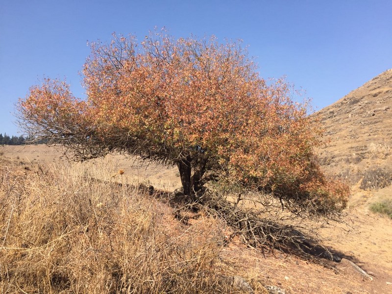 جمعيَّة حماية الطَّبيعة تُنظّم رحلة مبيت لطُلّاب مدرسة مفتان حزّور المغار للتَّعرُّف على البلاد