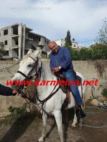 مهرجان الخيل دالية الكرمل .