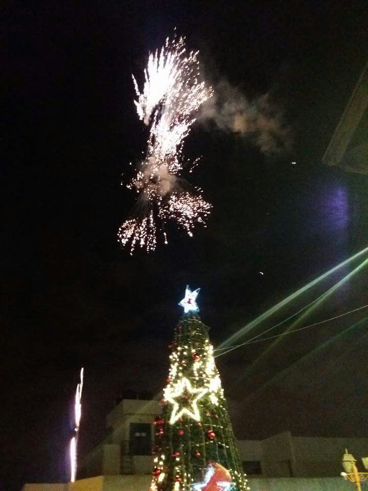 عسفيا :  تحتفل بإضاءة شجرة الميلاد 