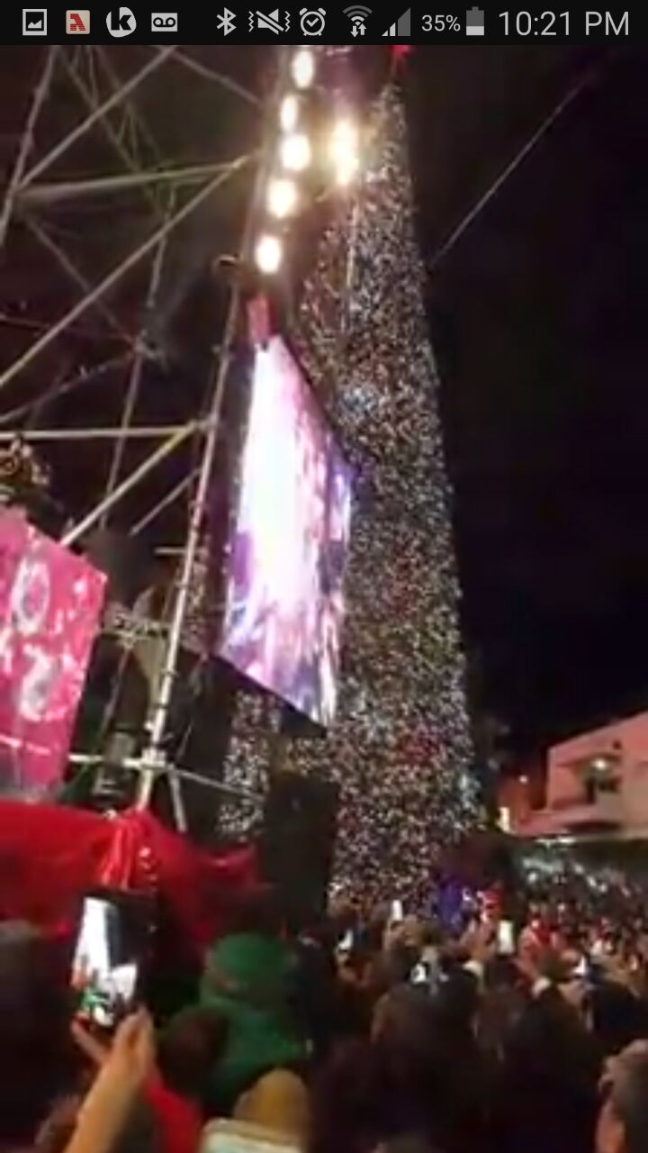 عسفيا :  تحتفل بإضاءة شجرة الميلاد 