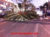 اصطدام شاحنة بشجرة  واسقاطها  على السيارات في الشيكونات 