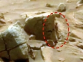 التقاط صورة لمخلوق فضائي بين صخور المريخ!